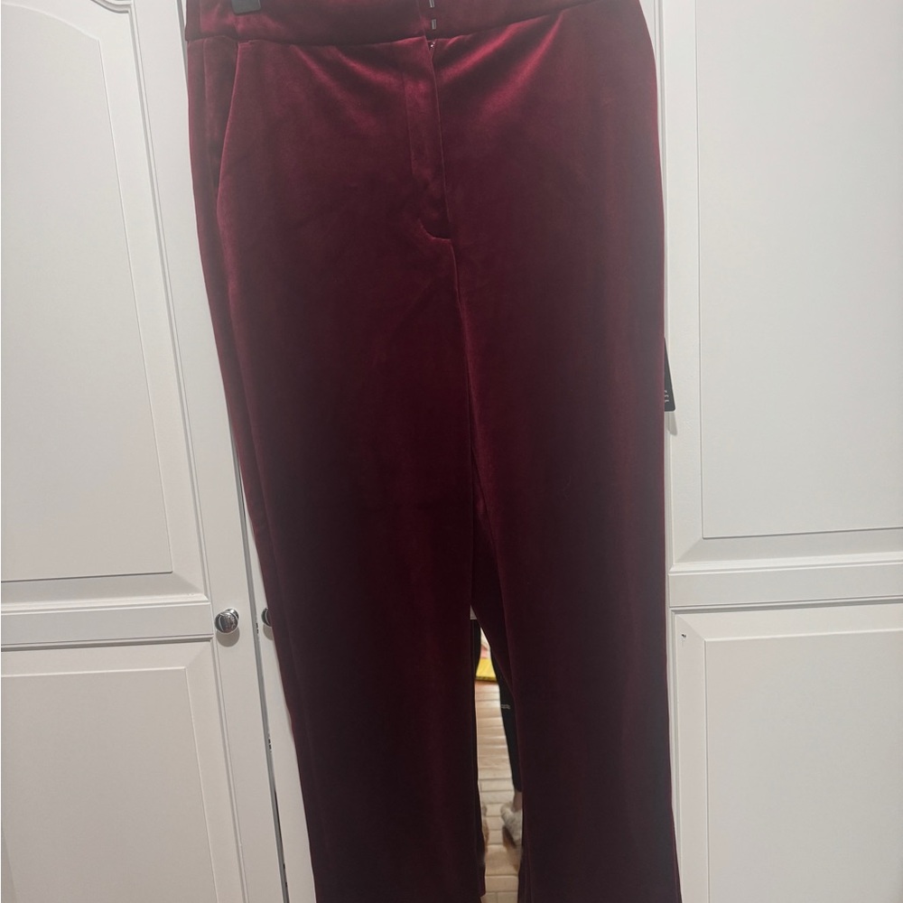 Express Burgundy Velvet Pants